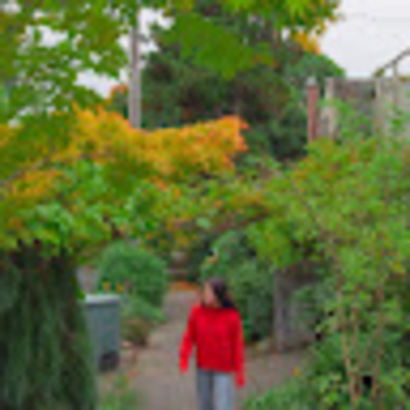 Meet your Posher, Maya - Picture 1 of 1